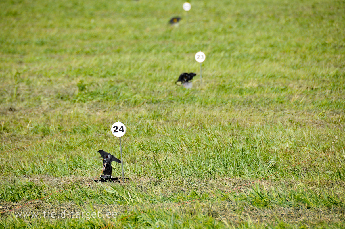 How far is a the Bird? 15 meters?